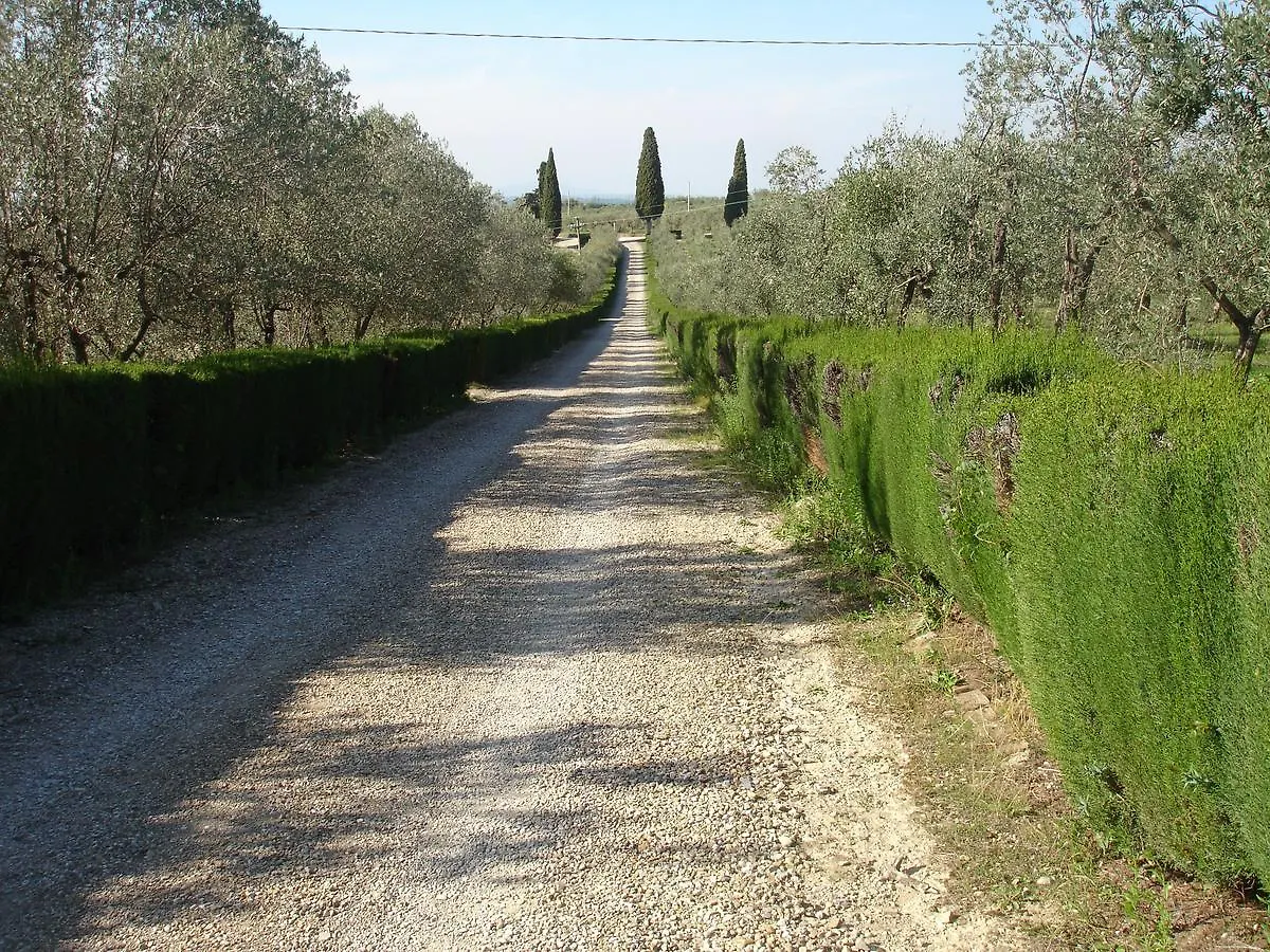 Agriturismo La Papessa Villa San Donato in Poggio 0*,
